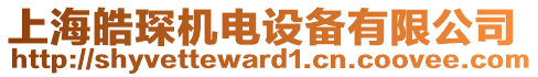 上海皓琛機(jī)電設(shè)備有限公司