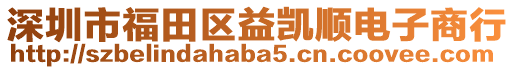 深圳市福田區益凱順電子商行