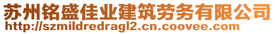 蘇州銘盛佳業(yè)建筑勞務(wù)有限公司