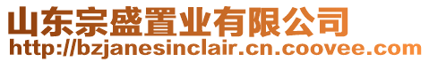 山東宗盛置業(yè)有限公司