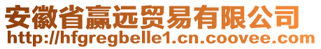 安徽省贏遠(yuǎn)貿(mào)易有限公司