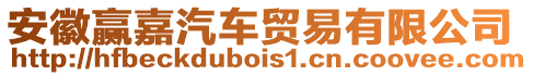 安徽贏嘉汽車貿(mào)易有限公司