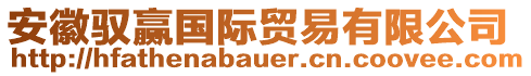 安徽馭贏國際貿(mào)易有限公司