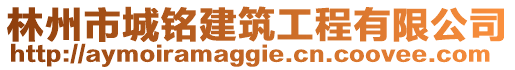 林州市城銘建筑工程有限公司