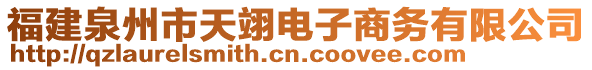 福建泉州市天翊電子商務(wù)有限公司