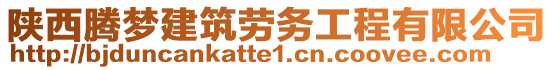 陜西騰夢(mèng)建筑勞務(wù)工程有限公司