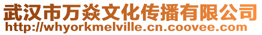 武漢市萬焱文化傳播有限公司