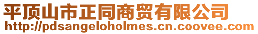 平頂山市正同商貿有限公司