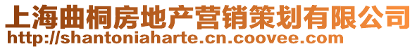 上海曲桐房地產(chǎn)營(yíng)銷(xiāo)策劃有限公司