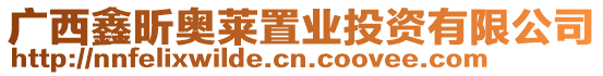 廣西鑫昕奧萊置業(yè)投資有限公司