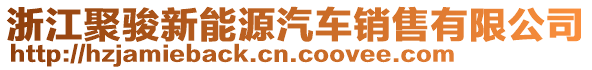 浙江聚駿新能源汽車銷售有限公司