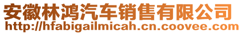 安徽林鴻汽車銷售有限公司