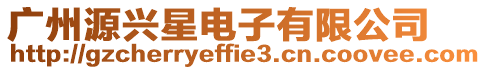 廣州源興星電子有限公司