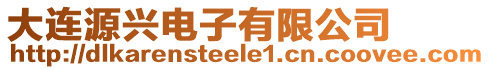 大連源興電子有限公司