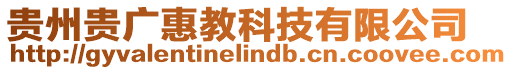 貴州貴廣惠教科技有限公司