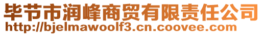 畢節(jié)市潤峰商貿(mào)有限責(zé)任公司