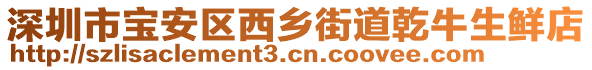 深圳市寶安區西鄉街道乾牛生鮮店