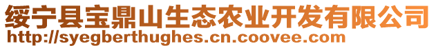 綏寧縣寶鼎山生態(tài)農(nóng)業(yè)開發(fā)有限公司