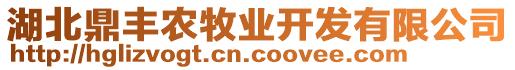 湖北鼎豐農(nóng)牧業(yè)開發(fā)有限公司