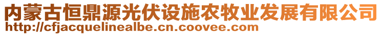 內蒙古恒鼎源光伏設施農牧業(yè)發(fā)展有限公司