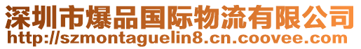 深圳市爆品國際物流有限公司