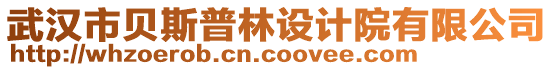 武漢市貝斯普林設(shè)計院有限公司