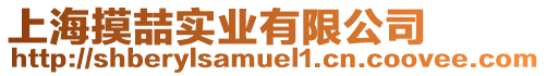 上海摸喆實業有限公司