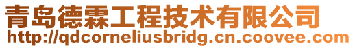 青島德霖工程技術(shù)有限公司