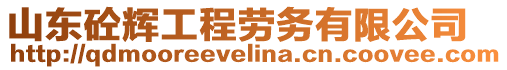 山東砼輝工程勞務(wù)有限公司