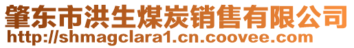 肇东市洪生煤炭销售有限公司