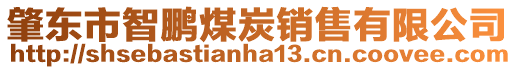 肇東市智鵬煤炭銷(xiāo)售有限公司
