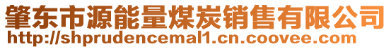 肇東市源能量煤炭銷售有限公司