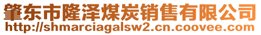 肇東市隆澤煤炭銷售有限公司