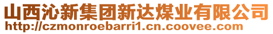 山西沁新集團新達煤業(yè)有限公司