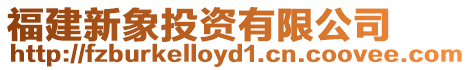 福建新象投資有限公司