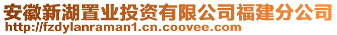 安徽新湖置業(yè)投資有限公司福建分公司