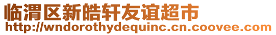 臨渭區新皓軒友誼超市