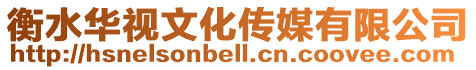 衡水華視文化傳媒有限公司