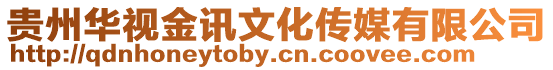 貴州華視金訊文化傳媒有限公司