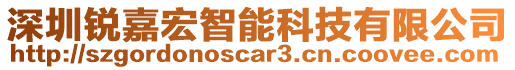 深圳銳嘉宏智能科技有限公司