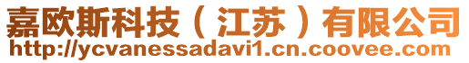 嘉歐斯科技(江蘇)有限公司