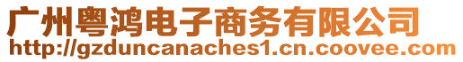 廣州粵鴻電子商務(wù)有限公司