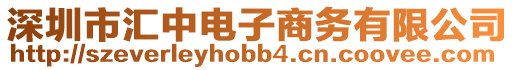 深圳市匯中電子商務(wù)有限公司