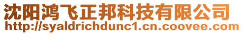 沈陽鴻飛正邦科技有限公司