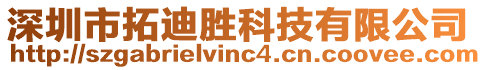 深圳市拓迪勝科技有限公司