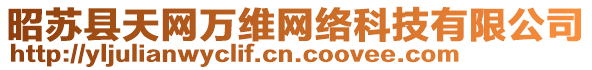 昭蘇縣天網(wǎng)萬維網(wǎng)絡(luò)科技有限公司