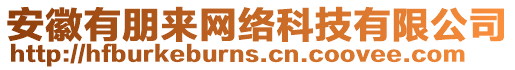 安徽有朋來(lái)網(wǎng)絡(luò)科技有限公司