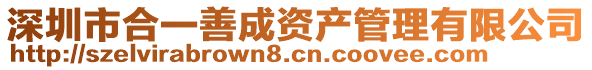 深圳市合一善成資產(chǎn)管理有限公司