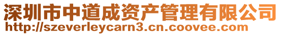 深圳市中道成資產管理有限公司