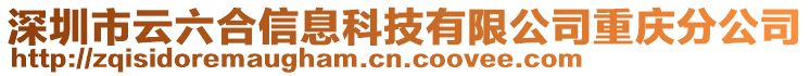 深圳市云六合信息科技有限公司重慶分公司